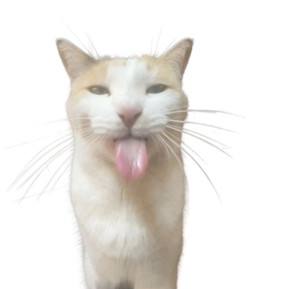 catwins