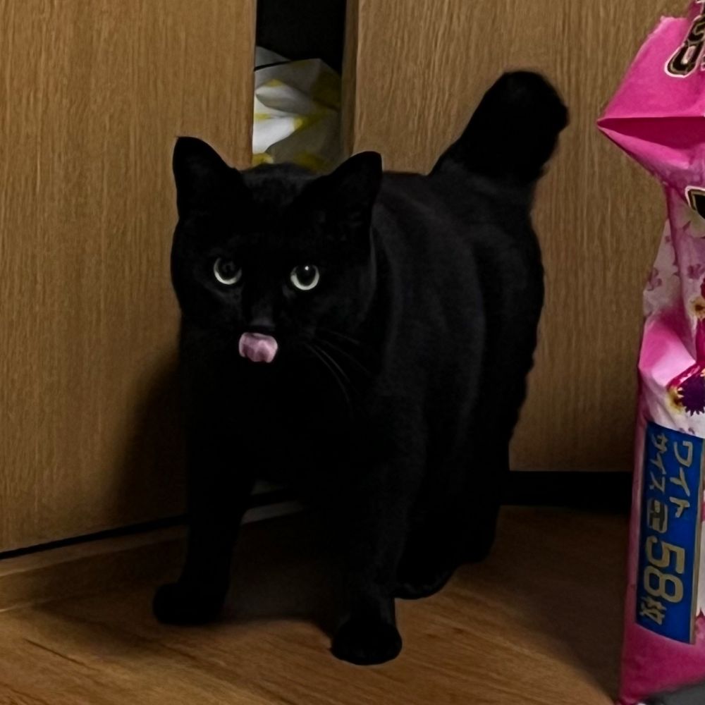 藤宮ちかげ