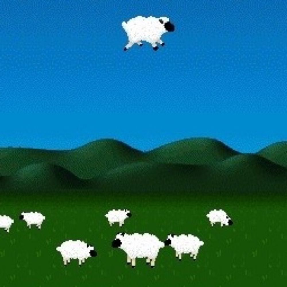 Sheep vs Gravity