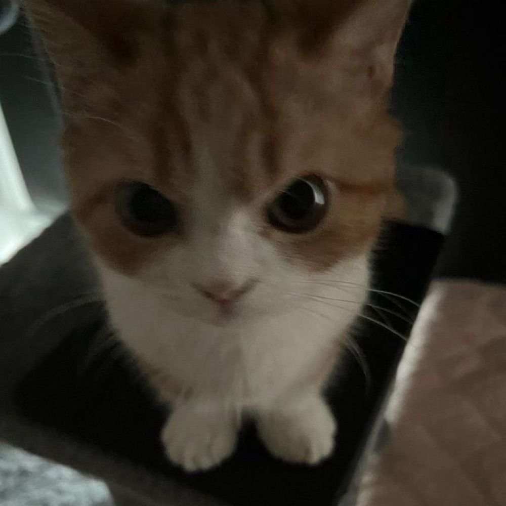 Nick