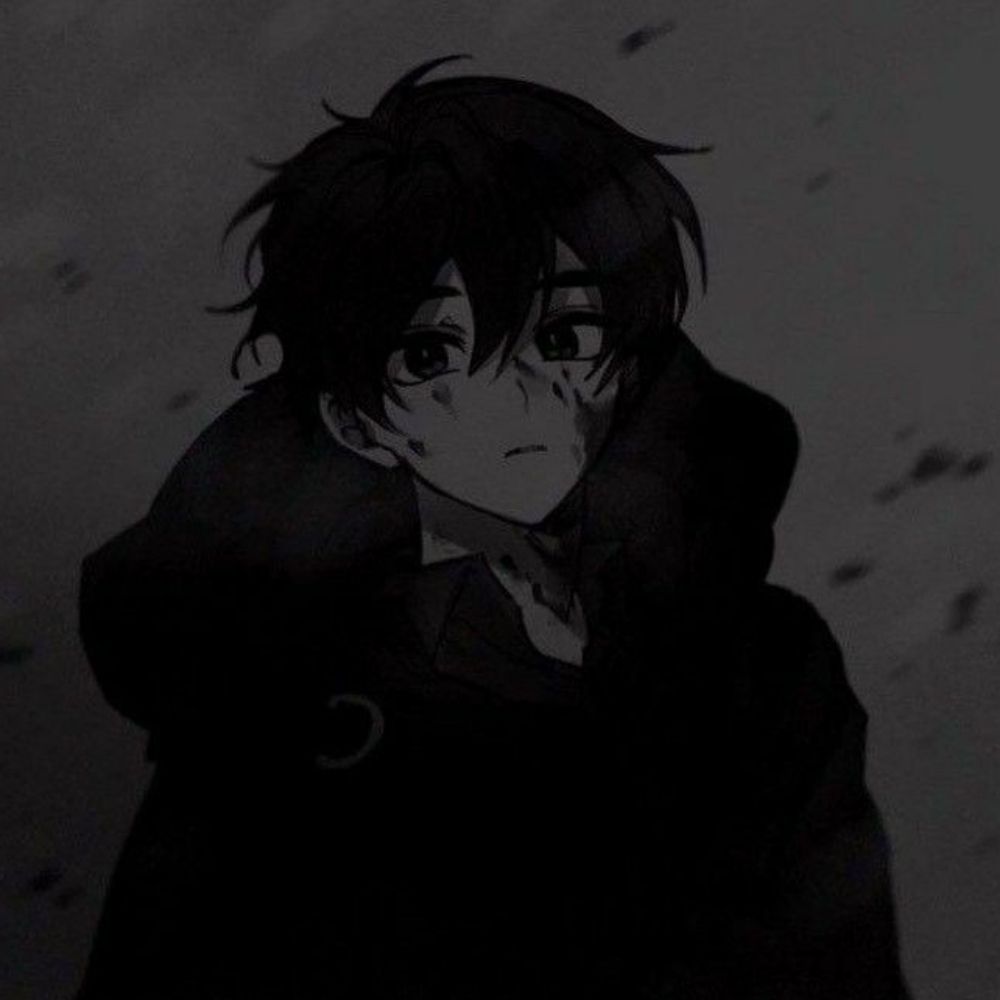 Natan_781