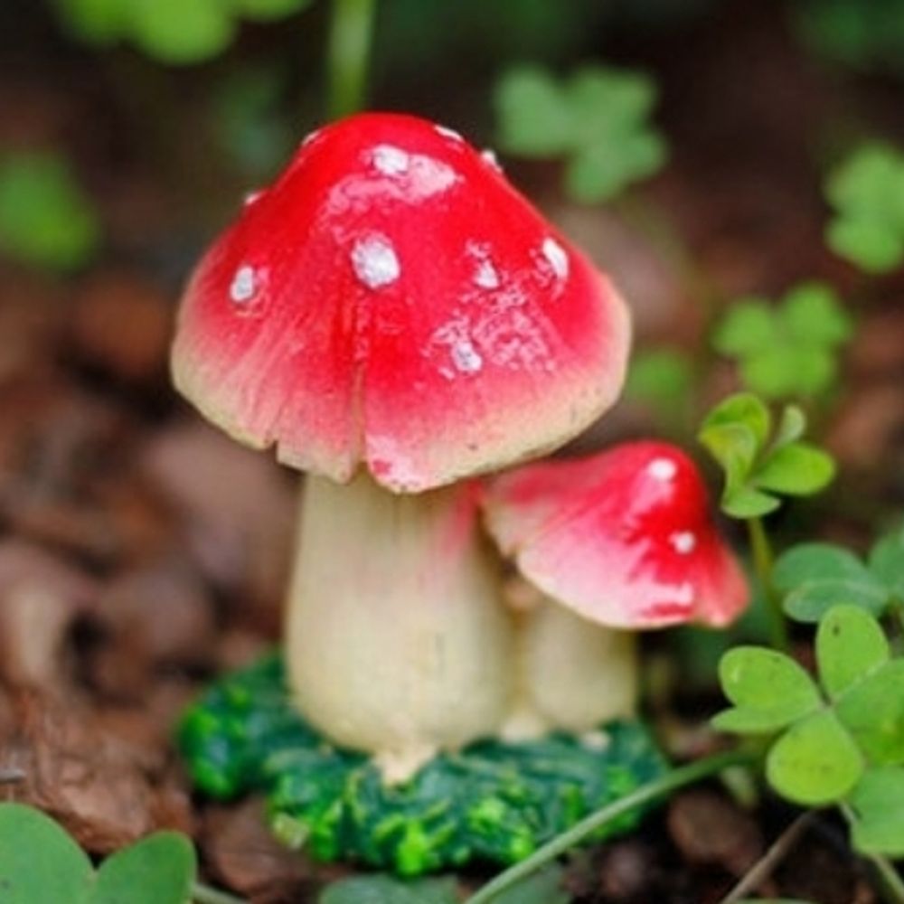 sporemaxxing & fungusmoding