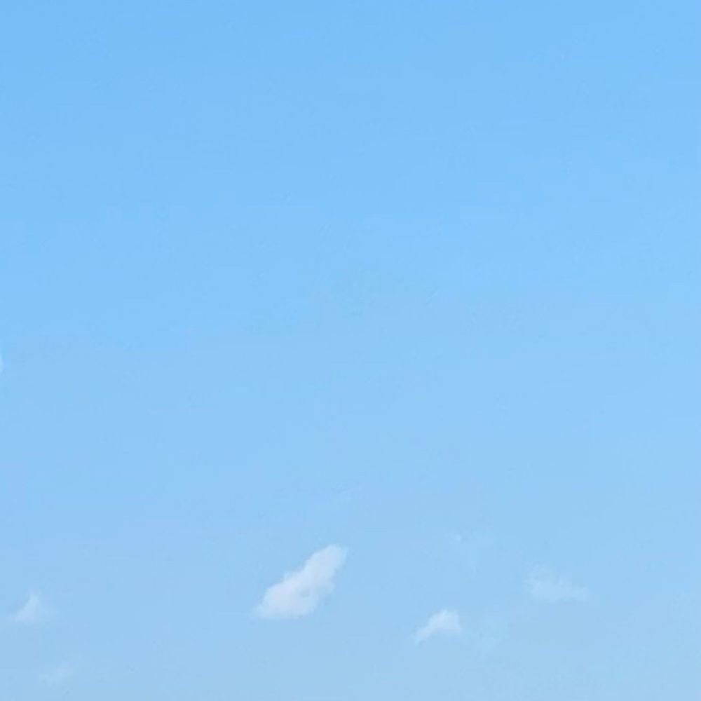 わたぬき