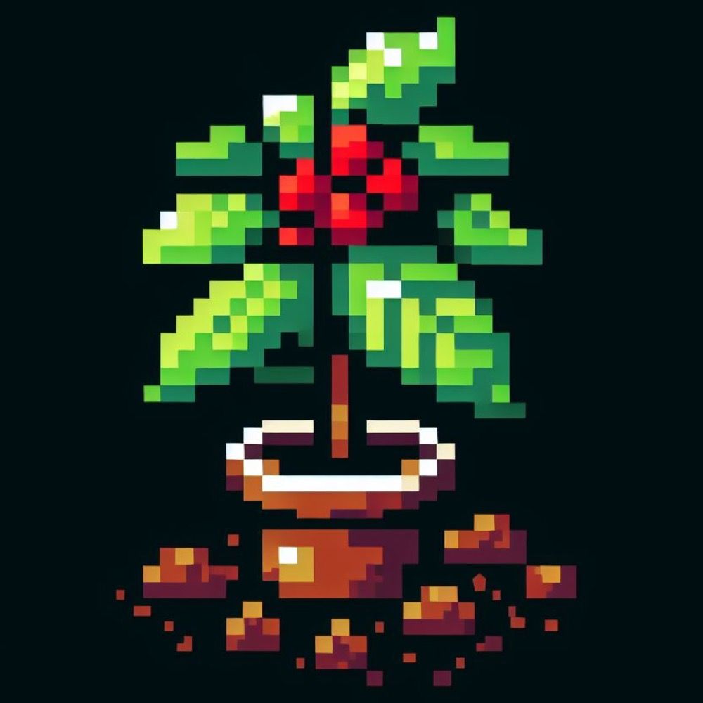 A coffee plant