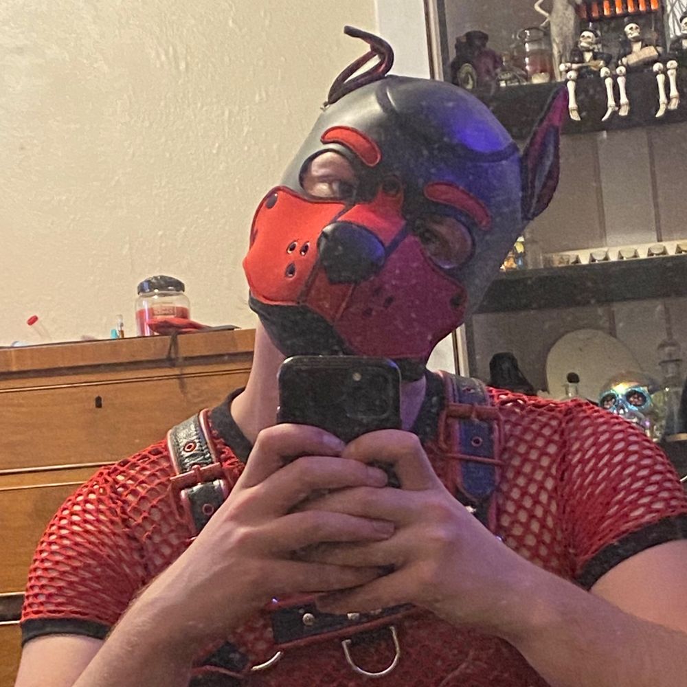 Pup Magnus