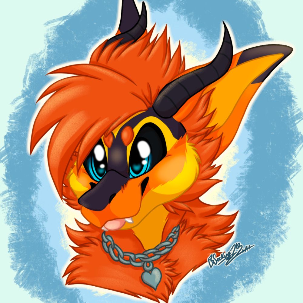 Kaida