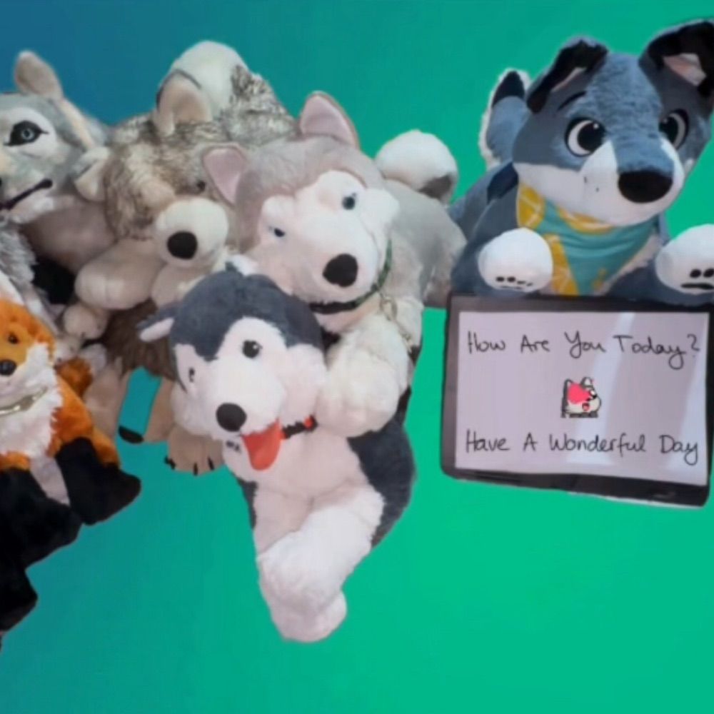 Plushie Fun