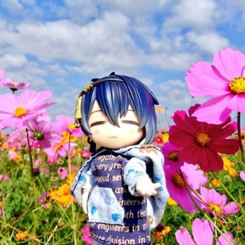 ひまわり♪