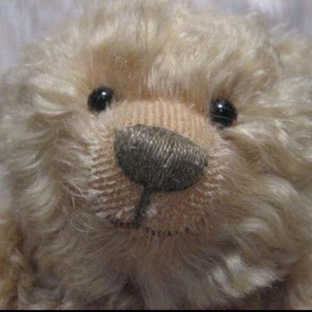 くま🐻大帝