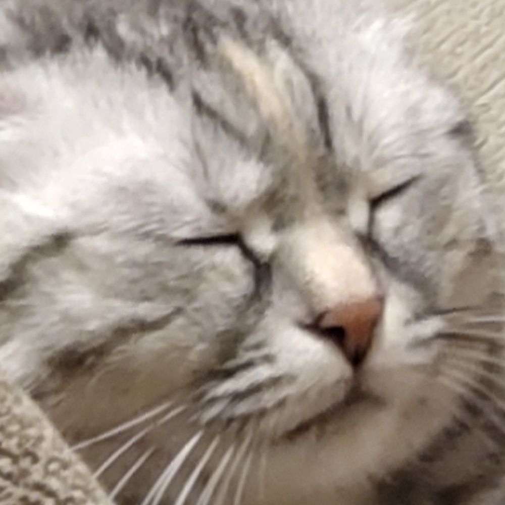 はなぢ