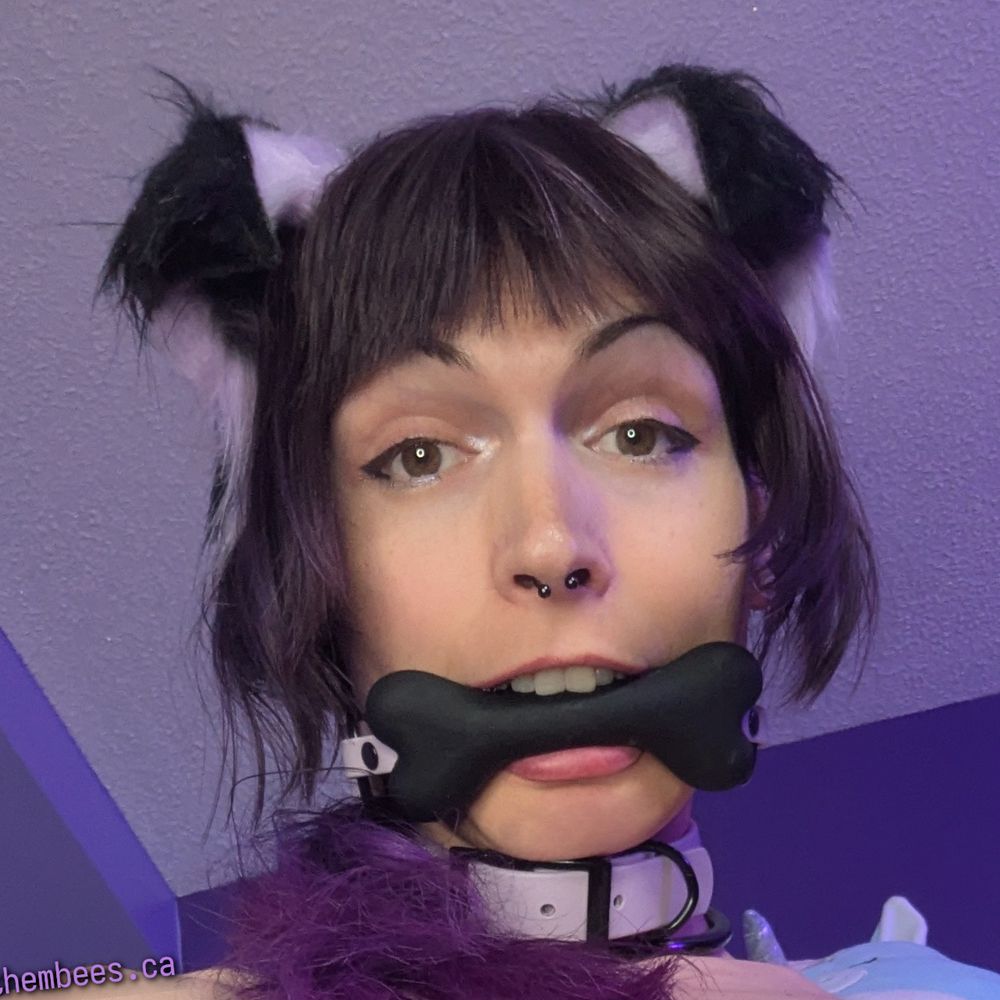 bee 🐶