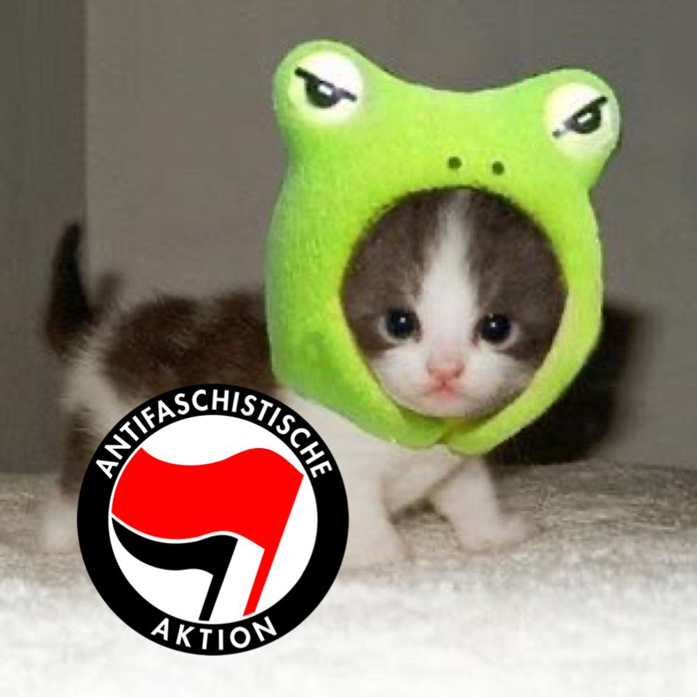 baesianer