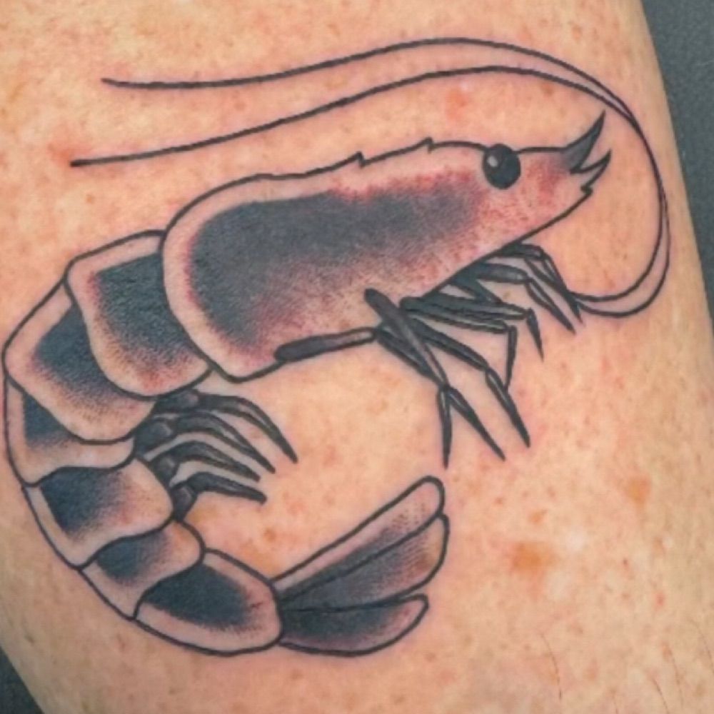 Shrimper