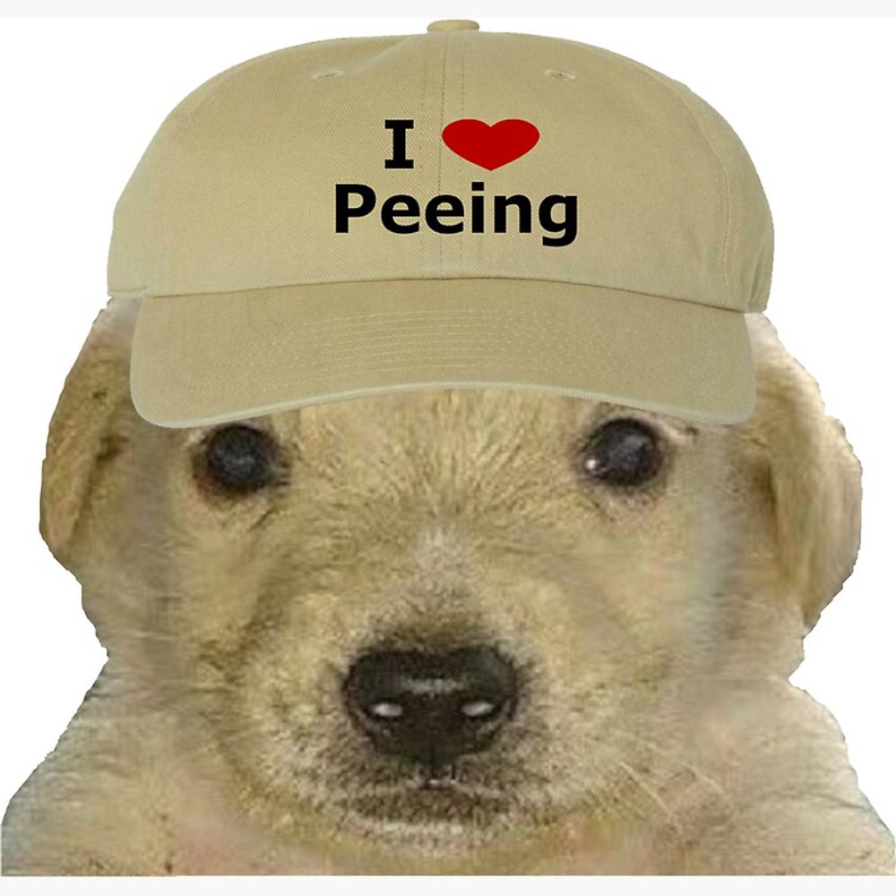 ♡𝚔𝚊𝚝𝚊𝚛𝚒𝚗𝚊⁺₊⋆⁺⋆₊