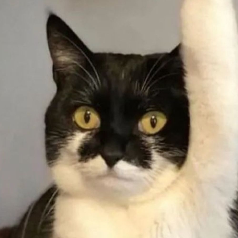 오이사장