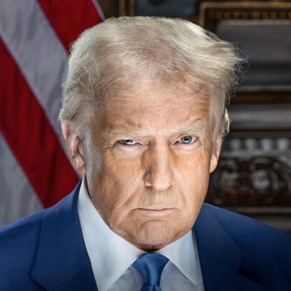 Profile picture trumpwondaily.bsky.social