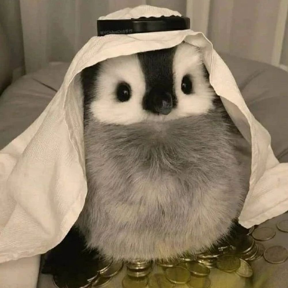 뮁
