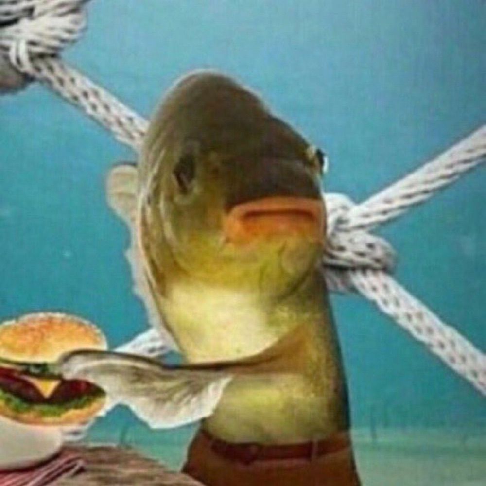 SquishyFishCake