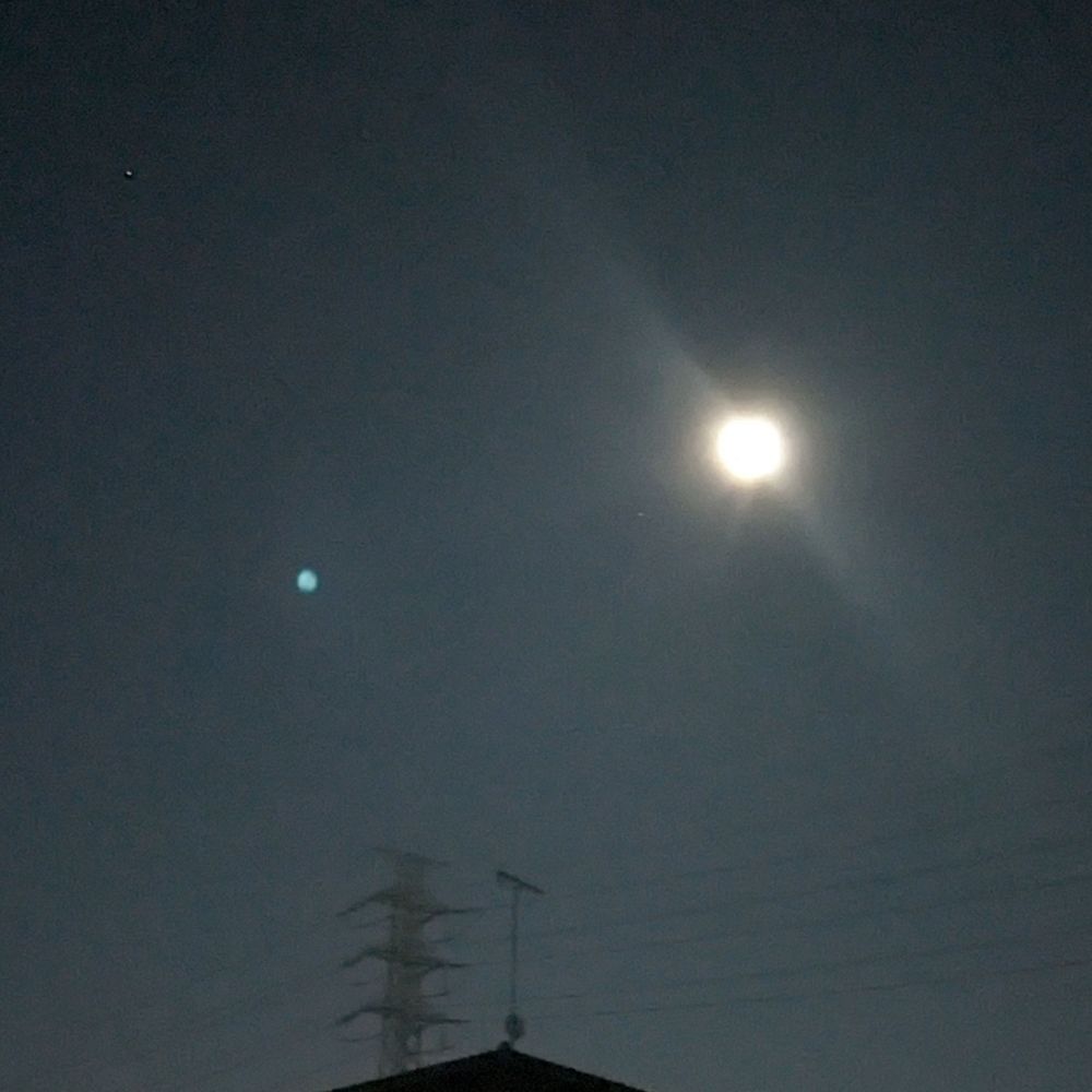takoi