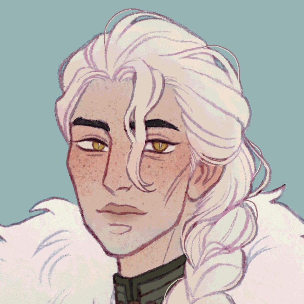 robin 🐻✨
