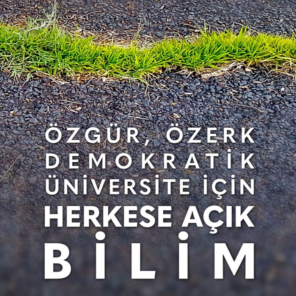 DirenenAkademi