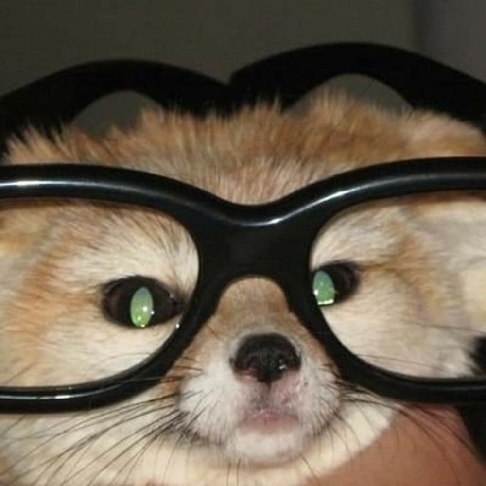 Fox Populi