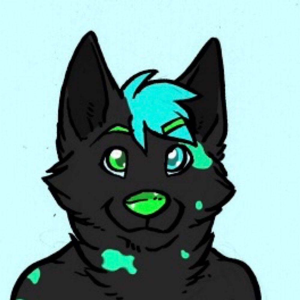 Jade Coyote