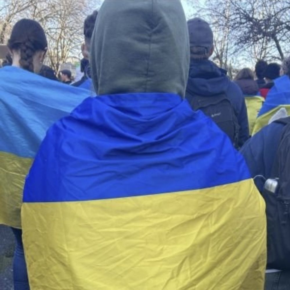 Пікачу⚡️🟡⚫️
