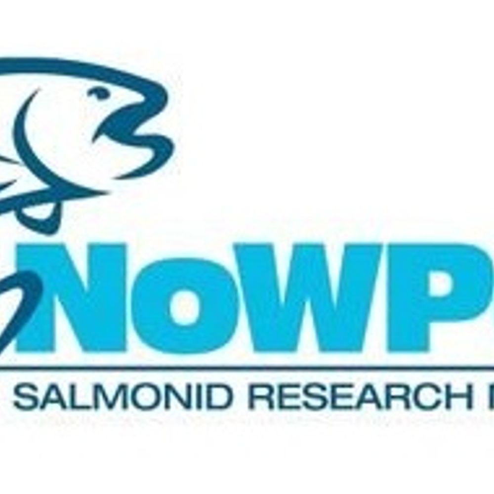 NoWPaS
