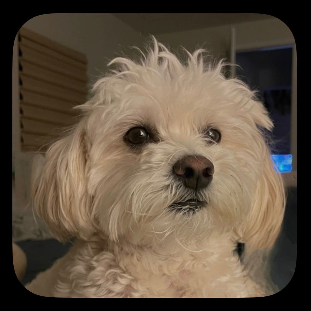 muysanchezbarajas.bsky.social