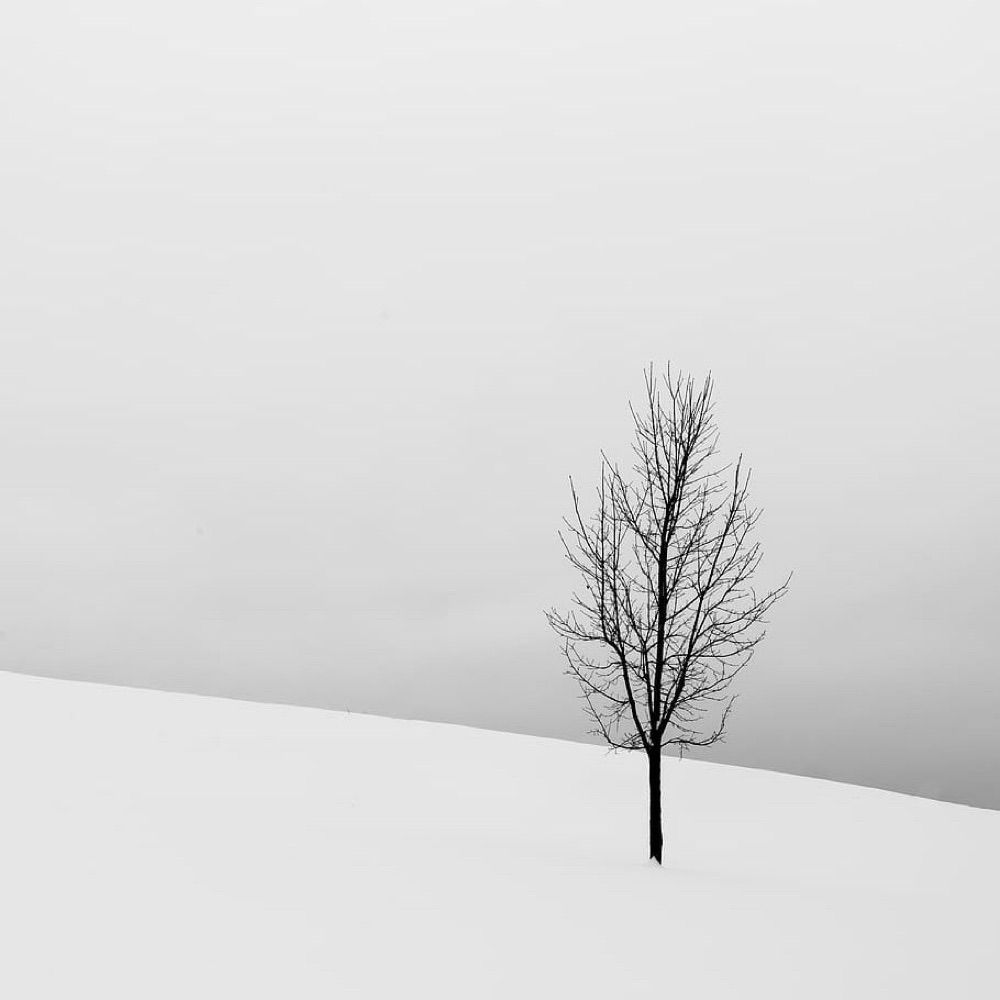 Silenci