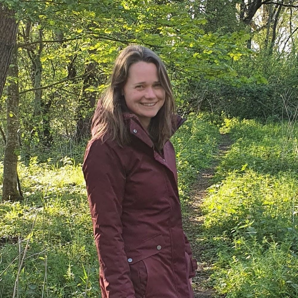 Ilse van Rijsingen