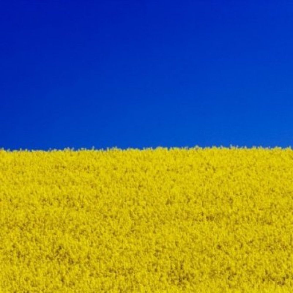 BlogUkraine 🇺🇦