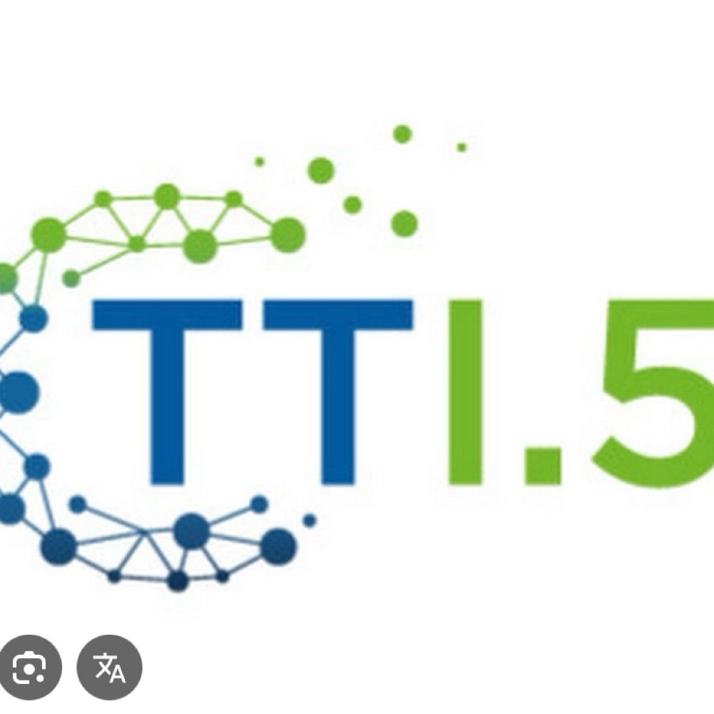 The Transition Institute
