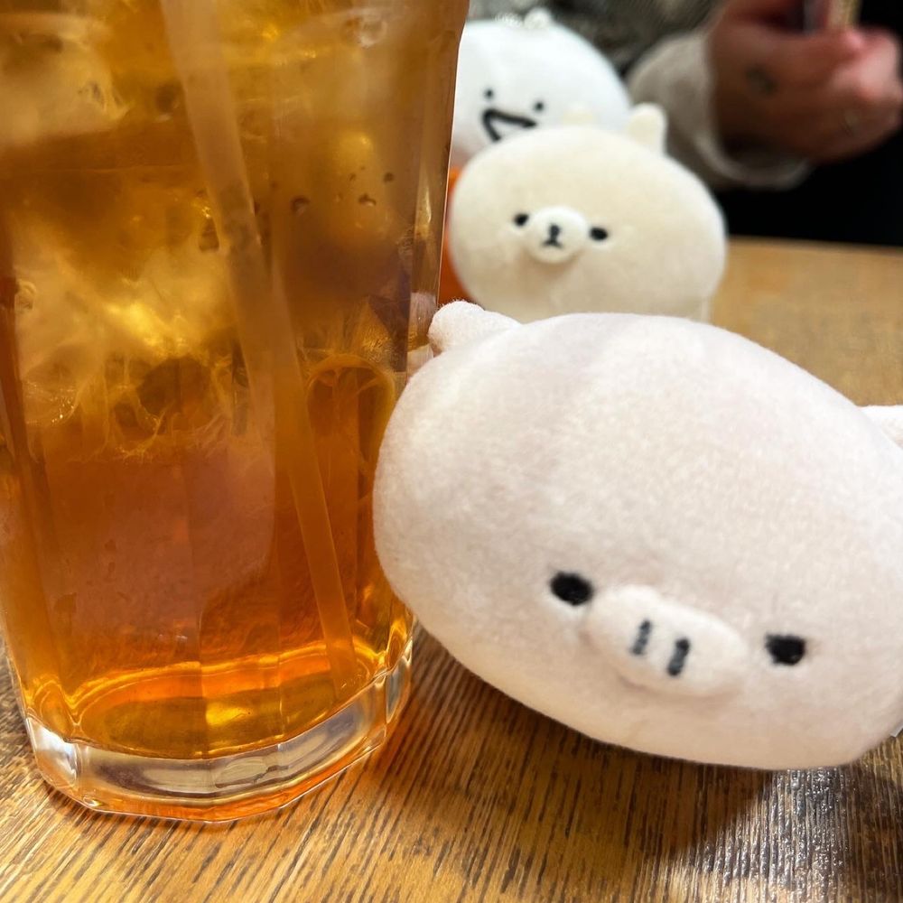 腐敗したネギ
