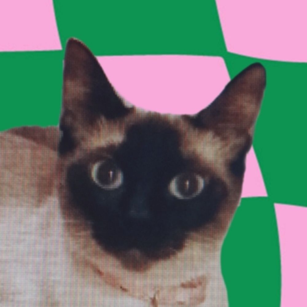minccimo☆