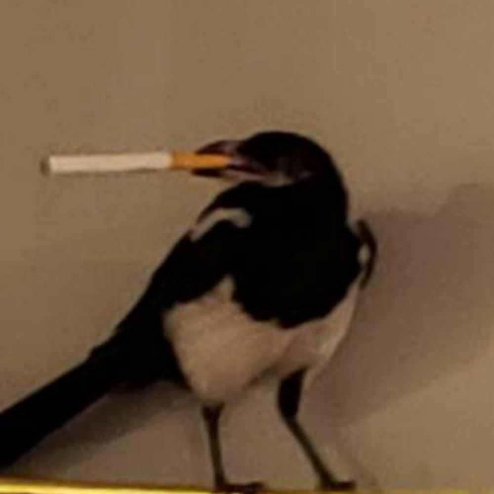 can i have a cigarette