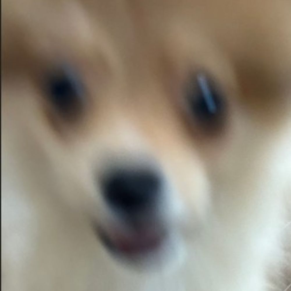 memeren