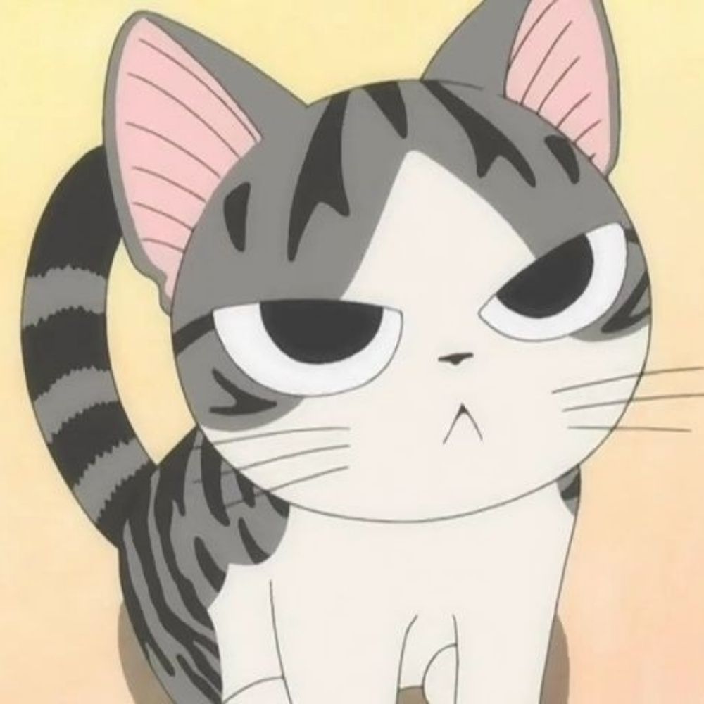 ปอมปอม✨🐱