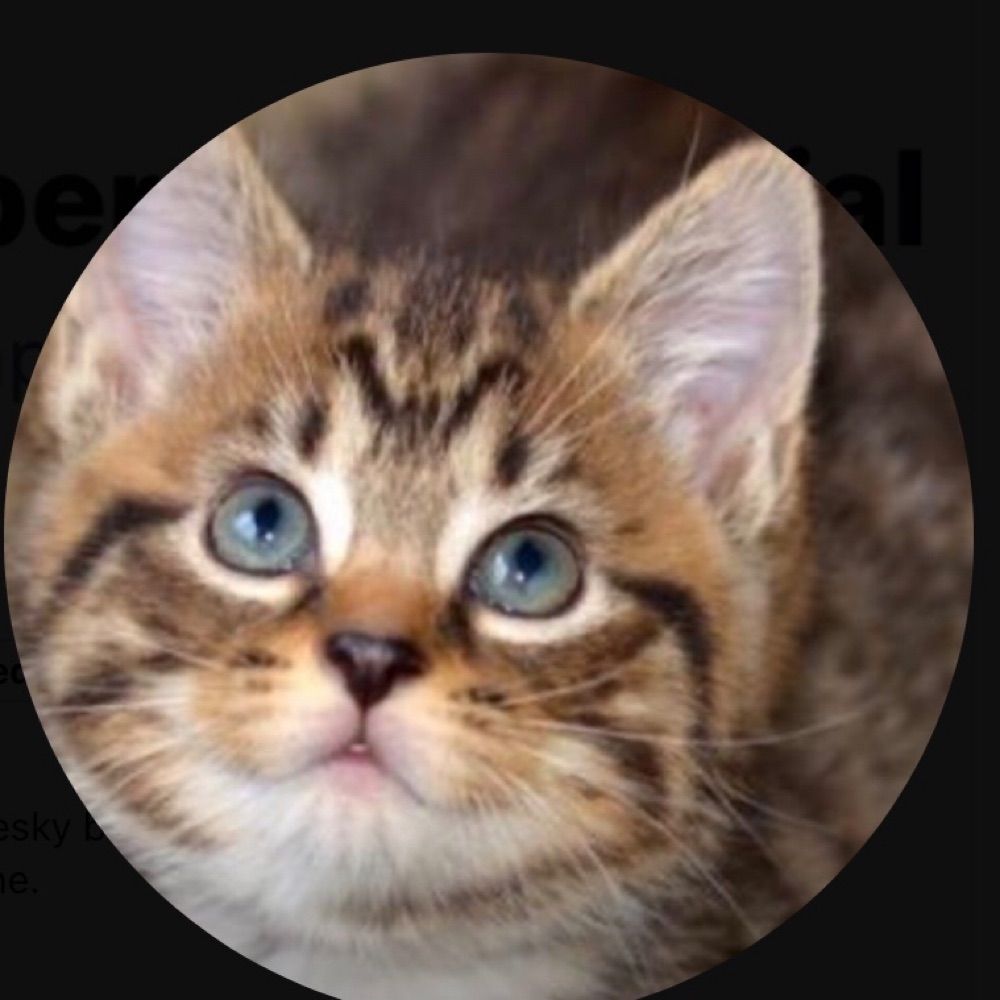 User avatar