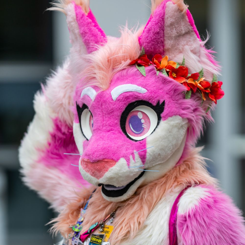 Khora the Caracal
