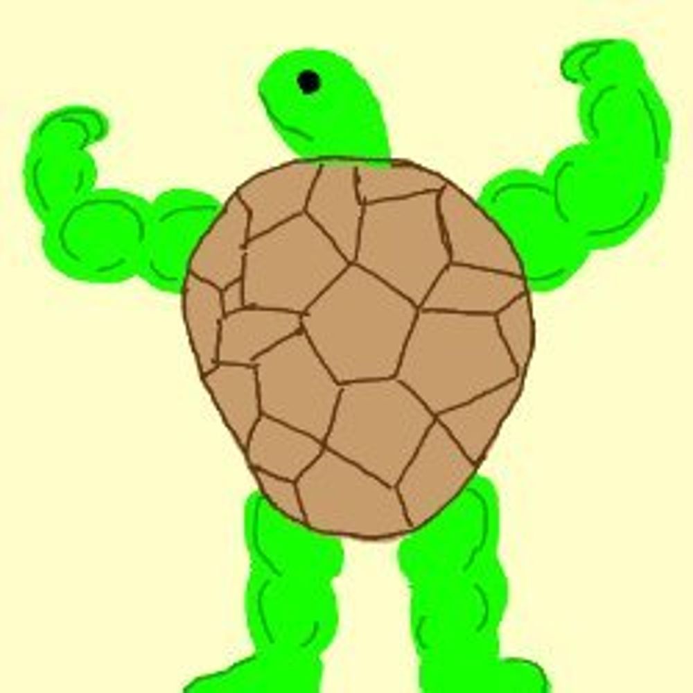 Turtle Time