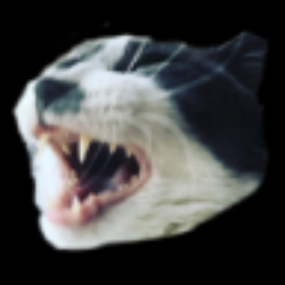 CodeDB