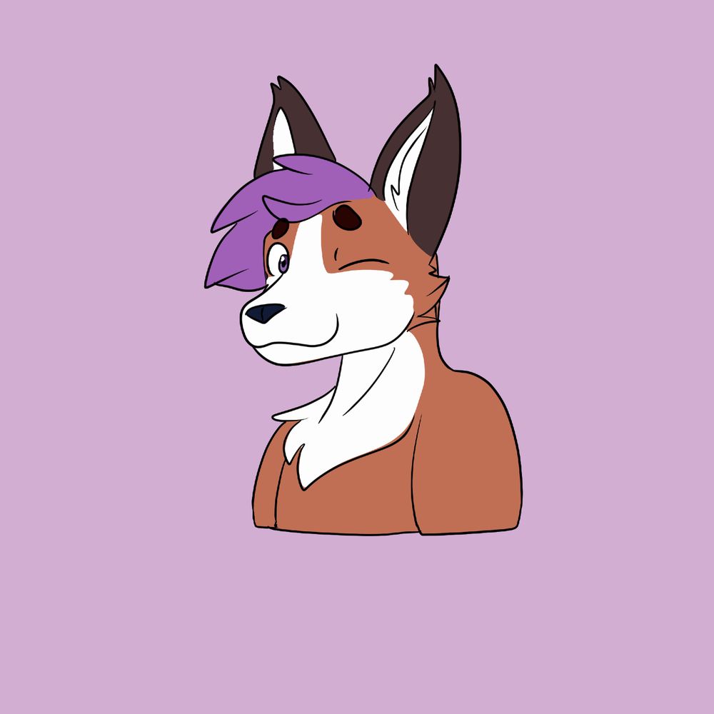 Noahthedog.bsky.social