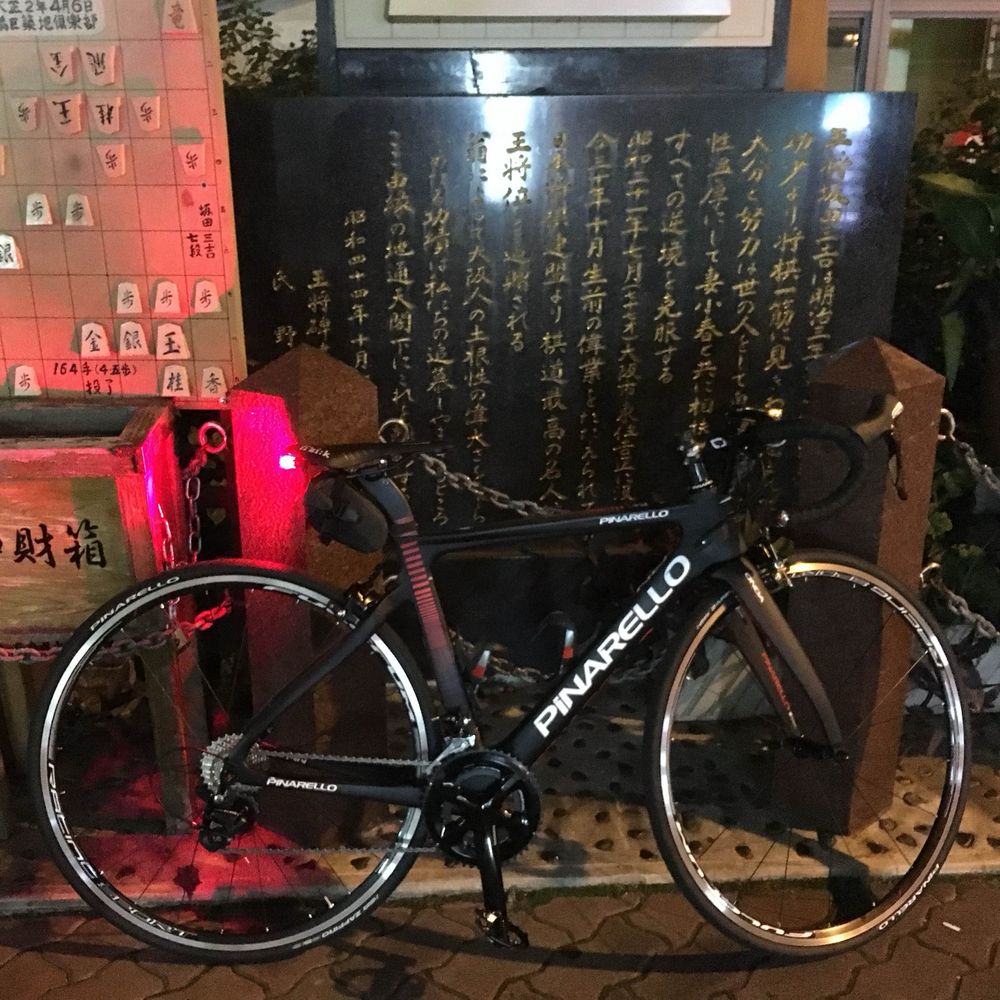 またたびp2