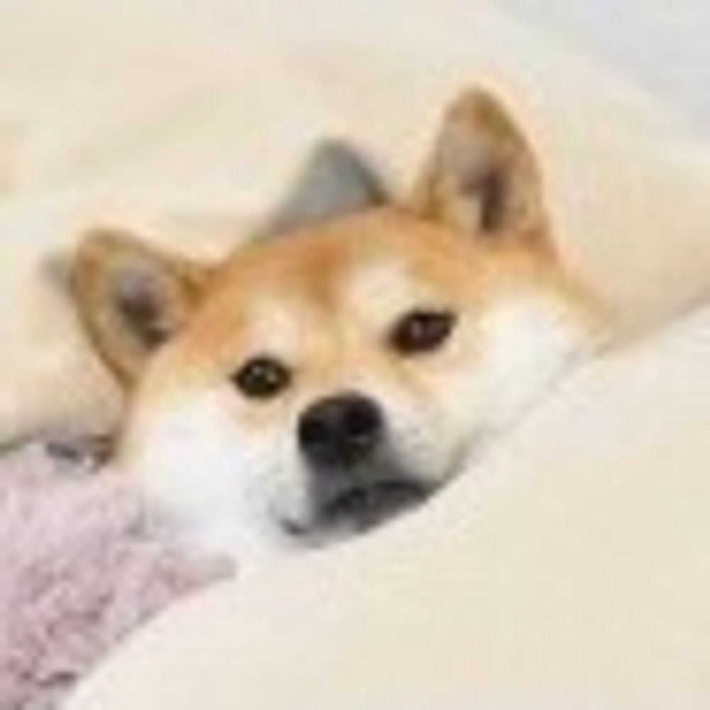 赤城