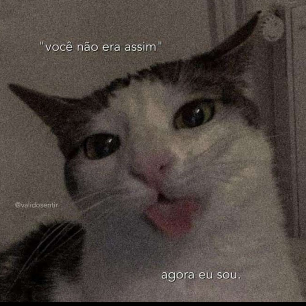 frutas