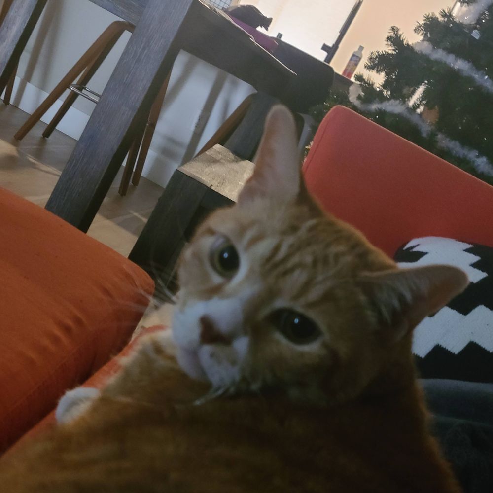 Zeetermin