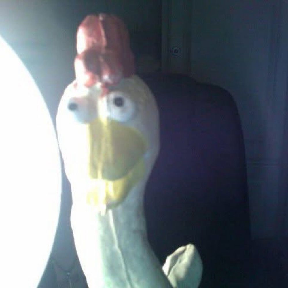 Begawk Awk