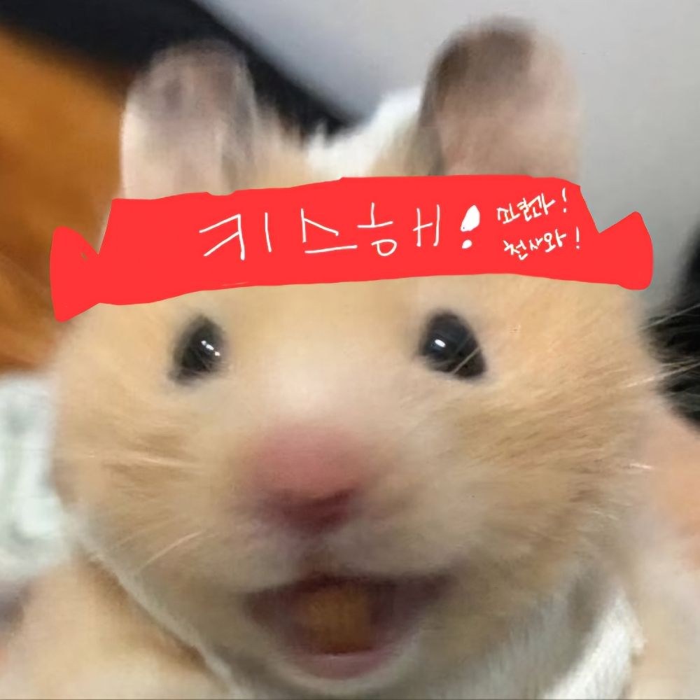 김햄찌( •̀∀•́ )✧